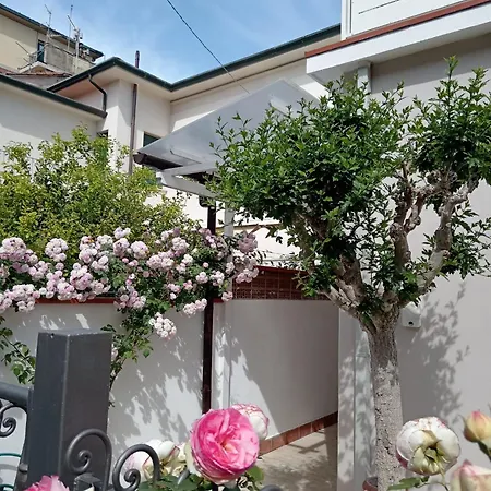 Da' Mi ' Nonni * Viareggio